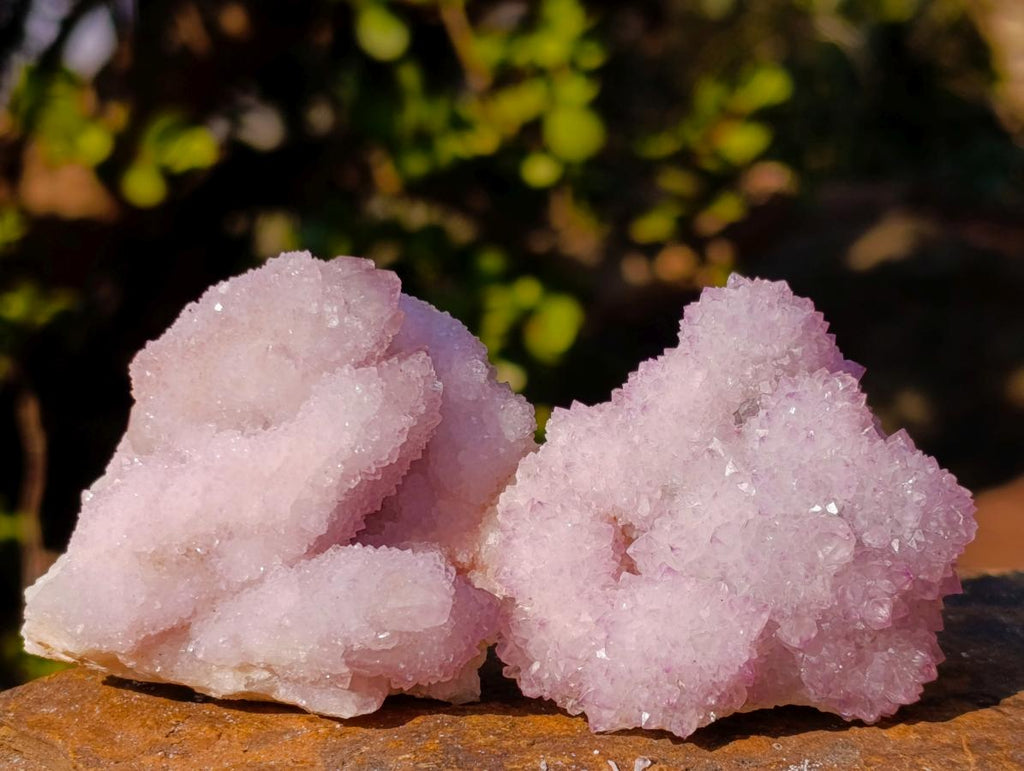 Natural Spirit Amethyst Clusters x 35 From Boekenhouthoek, South Africa - Toprock Gemstones and Minerals 