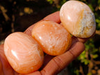 Polished Orange Twist Calcite Galets x 35 From Maevantanana, Madagascar - Toprock Gemstones and Minerals 