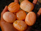 Polished Orange Twist Calcite Galets x 35 From Maevantanana, Madagascar - Toprock Gemstones and Minerals 