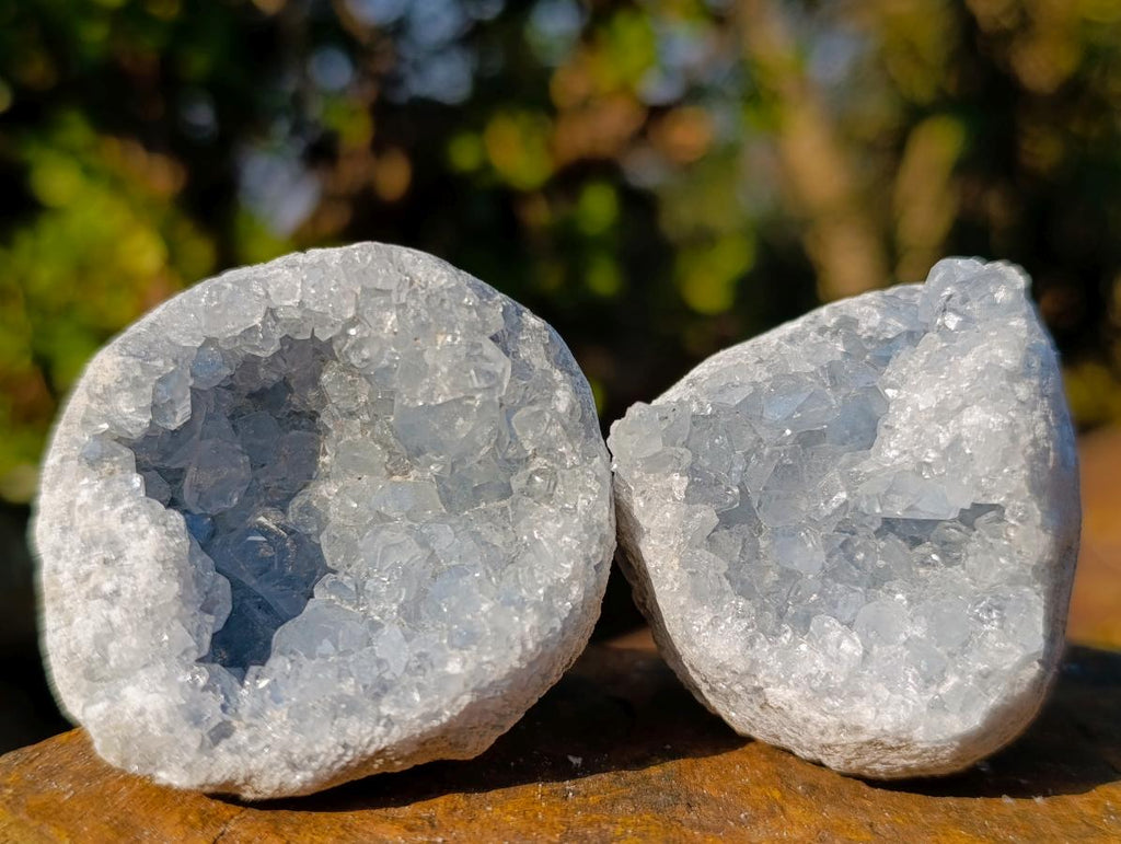 Natural Mini Blue Celestite Specimens x 47 From Sakoany, Madagascar - Toprock Gemstones and Minerals 