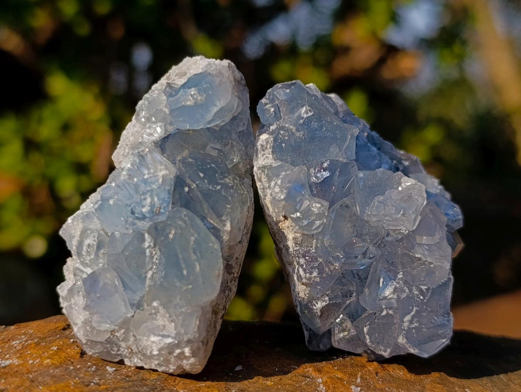 Natural Mini Blue Celestite Specimens x 47 From Sakoany, Madagascar - Toprock Gemstones and Minerals 