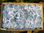 Natural Mini Blue Celestite Specimens x 47 From Sakoany, Madagascar - Toprock Gemstones and Minerals 