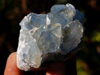 Natural Mini Blue Celestite Specimens x 47 From Sakoany, Madagascar - Toprock Gemstones and Minerals 