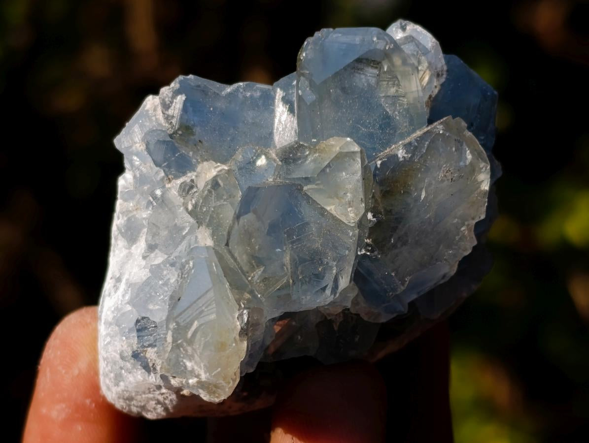 Natural Mini Blue Celestite Specimens x 47 From Sakoany, Madagascar - Toprock Gemstones and Minerals 