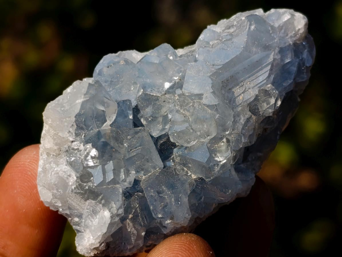 Natural Mini Blue Celestite Specimens x 47 From Sakoany, Madagascar - Toprock Gemstones and Minerals 