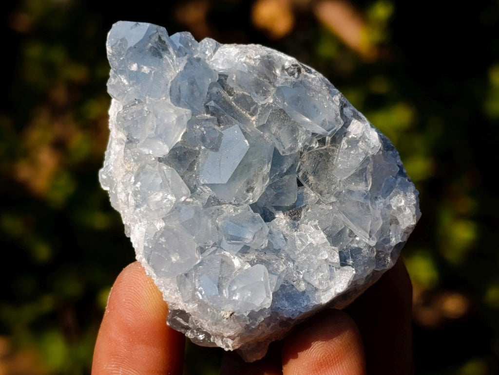 Natural Mini Blue Celestite Specimens x 47 From Sakoany, Madagascar - Toprock Gemstones and Minerals 