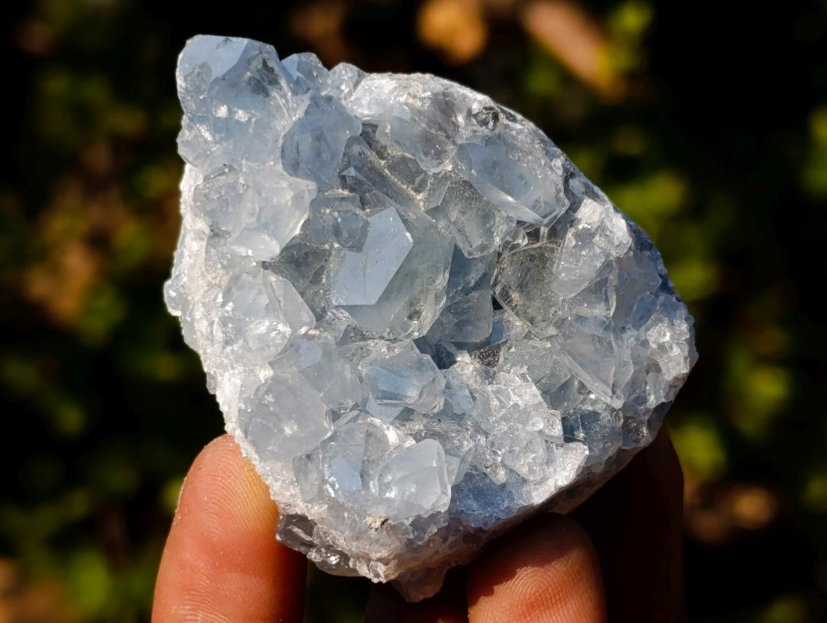 Natural Mini Blue Celestite Specimens x 47 From Sakoany, Madagascar - Toprock Gemstones and Minerals 