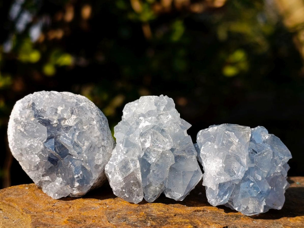 Natural Mini Blue Celestite Specimens x 47 From Sakoany, Madagascar - Toprock Gemstones and Minerals 