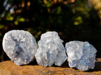 Natural Mini Blue Celestite Specimens x 47 From Sakoany, Madagascar - Toprock Gemstones and Minerals 