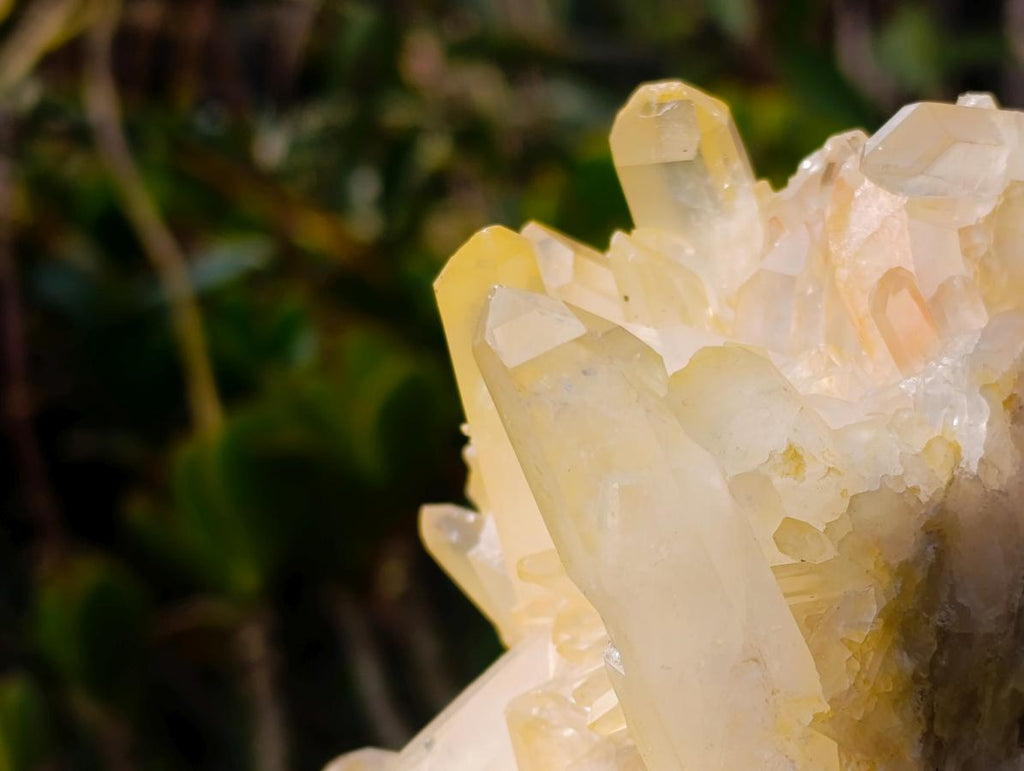 Natural Large Malagasy Quartz Cluster x 1 From Madagascar - Toprock Gemstones and Minerals 