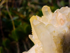 Natural Large Malagasy Quartz Cluster x 1 From Madagascar - Toprock Gemstones and Minerals 