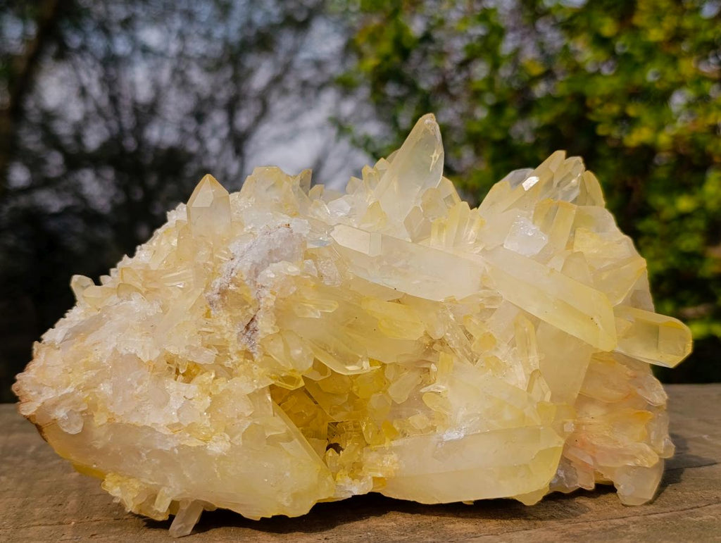 Natural Large Malagasy Quartz Cluster x 1 From Madagascar - Toprock Gemstones and Minerals 