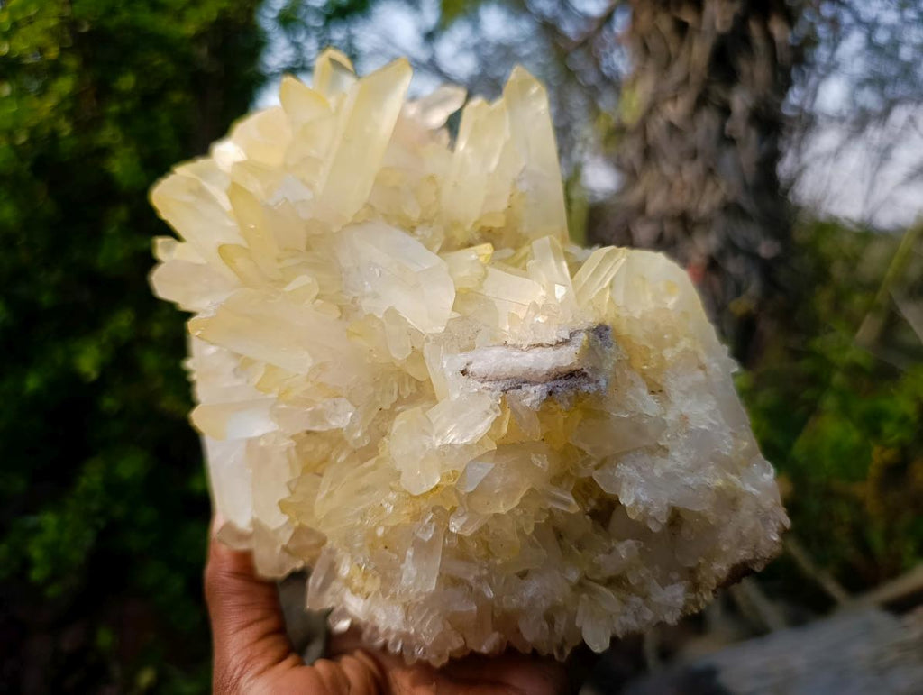 Natural Large Malagasy Quartz Cluster x 1 From Madagascar - Toprock Gemstones and Minerals 