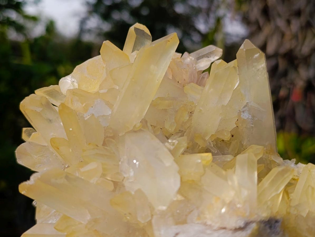 Natural Large Malagasy Quartz Cluster x 1 From Madagascar - Toprock Gemstones and Minerals 