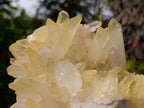 Natural Large Malagasy Quartz Cluster x 1 From Madagascar - Toprock Gemstones and Minerals 