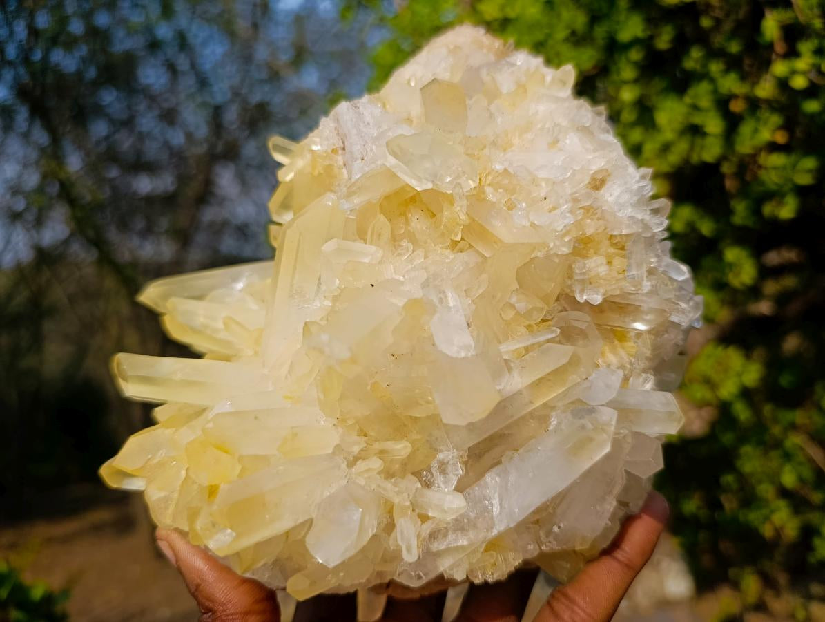 Natural Large Malagasy Quartz Cluster x 1 From Madagascar - Toprock Gemstones and Minerals 
