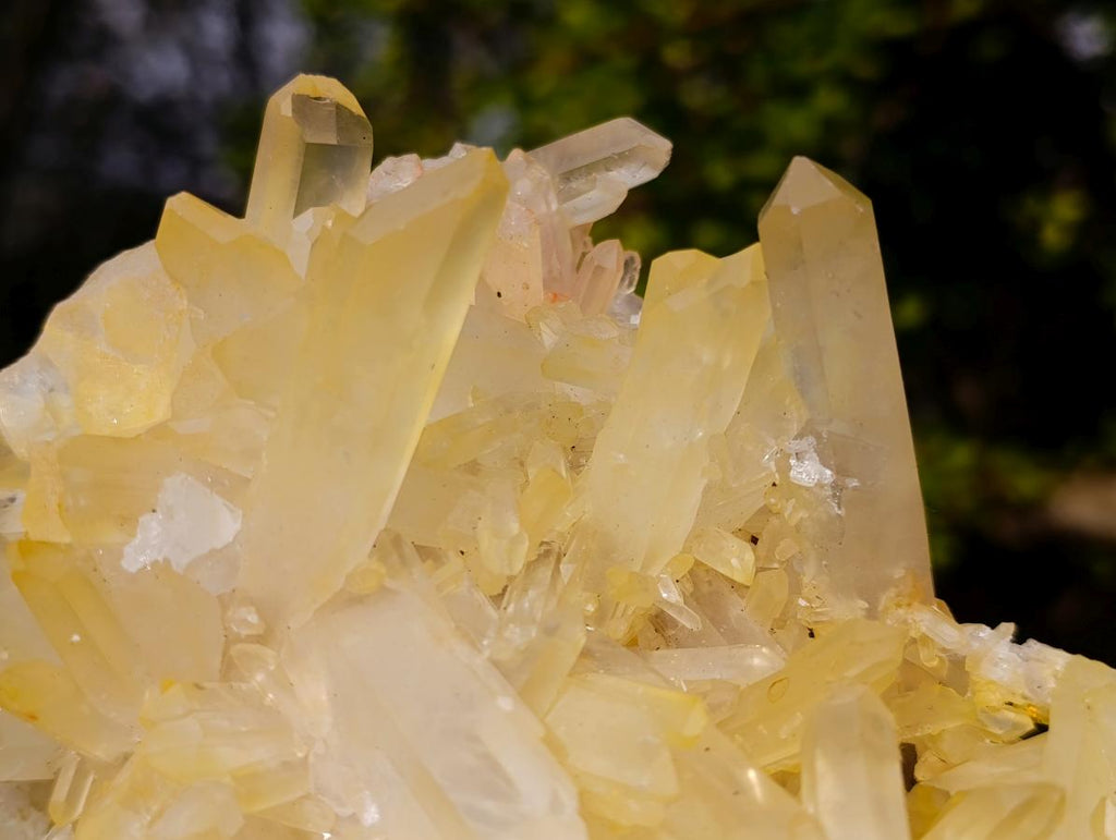Natural Large Malagasy Quartz Cluster x 1 From Madagascar - Toprock Gemstones and Minerals 
