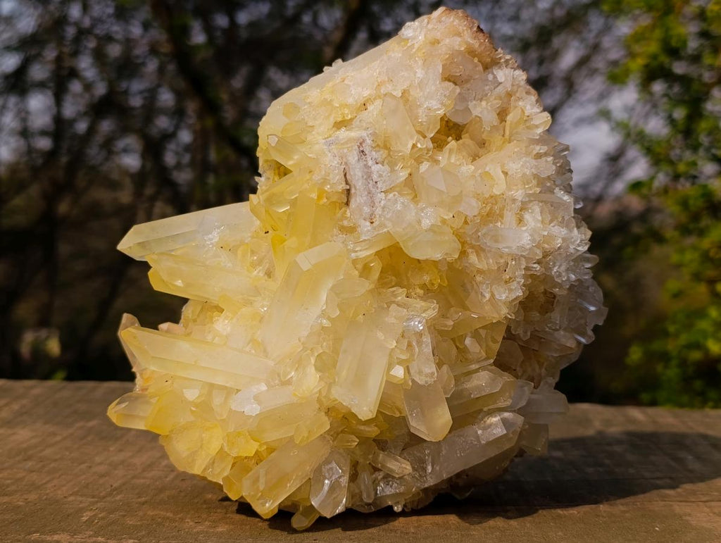 Natural Large Malagasy Quartz Cluster x 1 From Madagascar - Toprock Gemstones and Minerals 