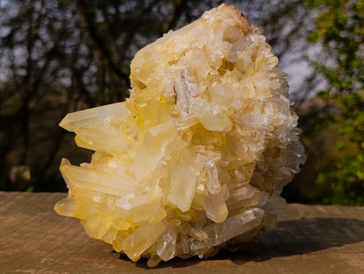 Natural Large Malagasy Quartz Cluster x 1 From Madagascar - Toprock Gemstones and Minerals 