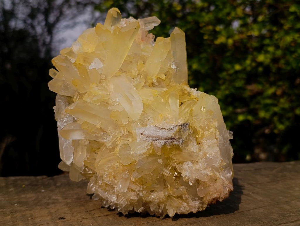 Natural Large Malagasy Quartz Cluster x 1 From Madagascar - Toprock Gemstones and Minerals 