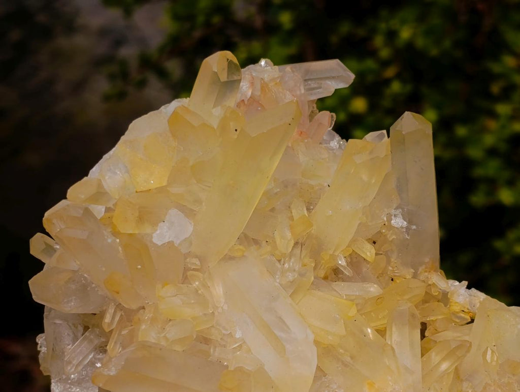 Natural Large Malagasy Quartz Cluster x 1 From Madagascar - Toprock Gemstones and Minerals 