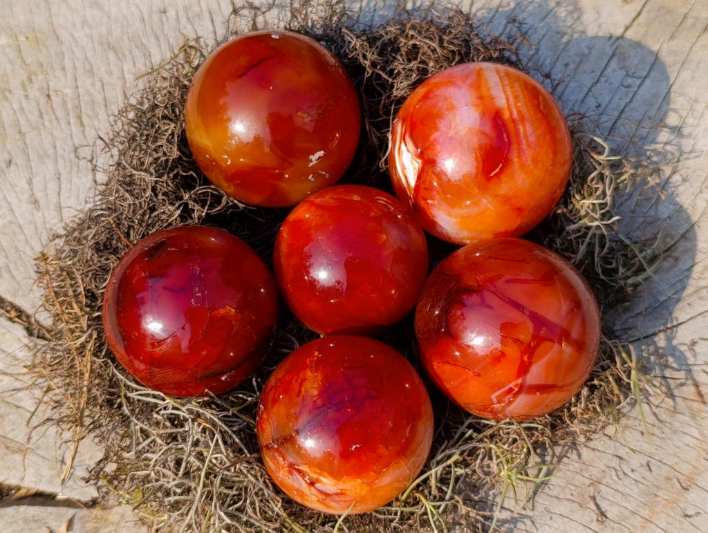Polished and Natural Carnelian Agate Gemstone Spheres x 6 From Madagascar - Toprock Gemstones and Minerals 