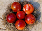 Polished and Natural Carnelian Agate Gemstone Spheres x 6 From Madagascar - Toprock Gemstones and Minerals 