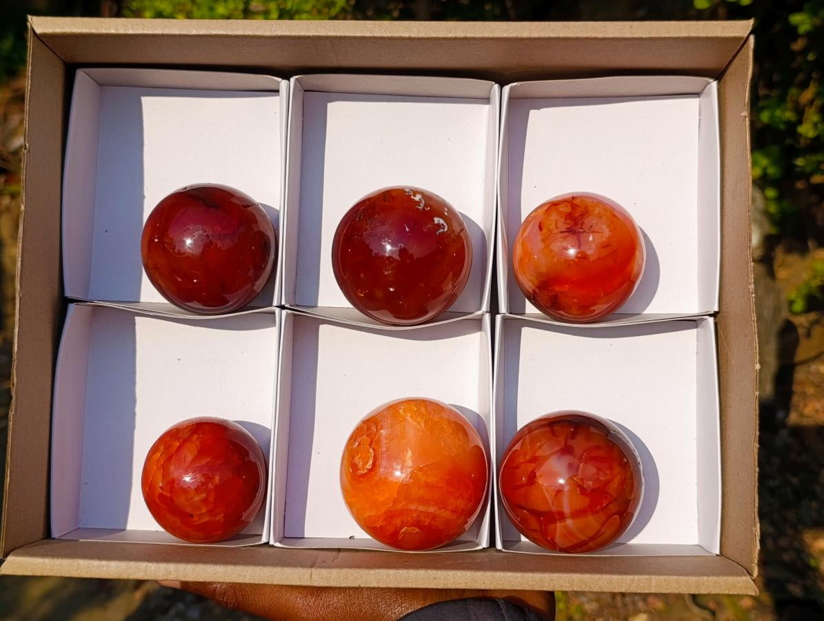 Polished and Natural Carnelian Agate Gemstone Spheres x 6 From Madagascar - Toprock Gemstones and Minerals 