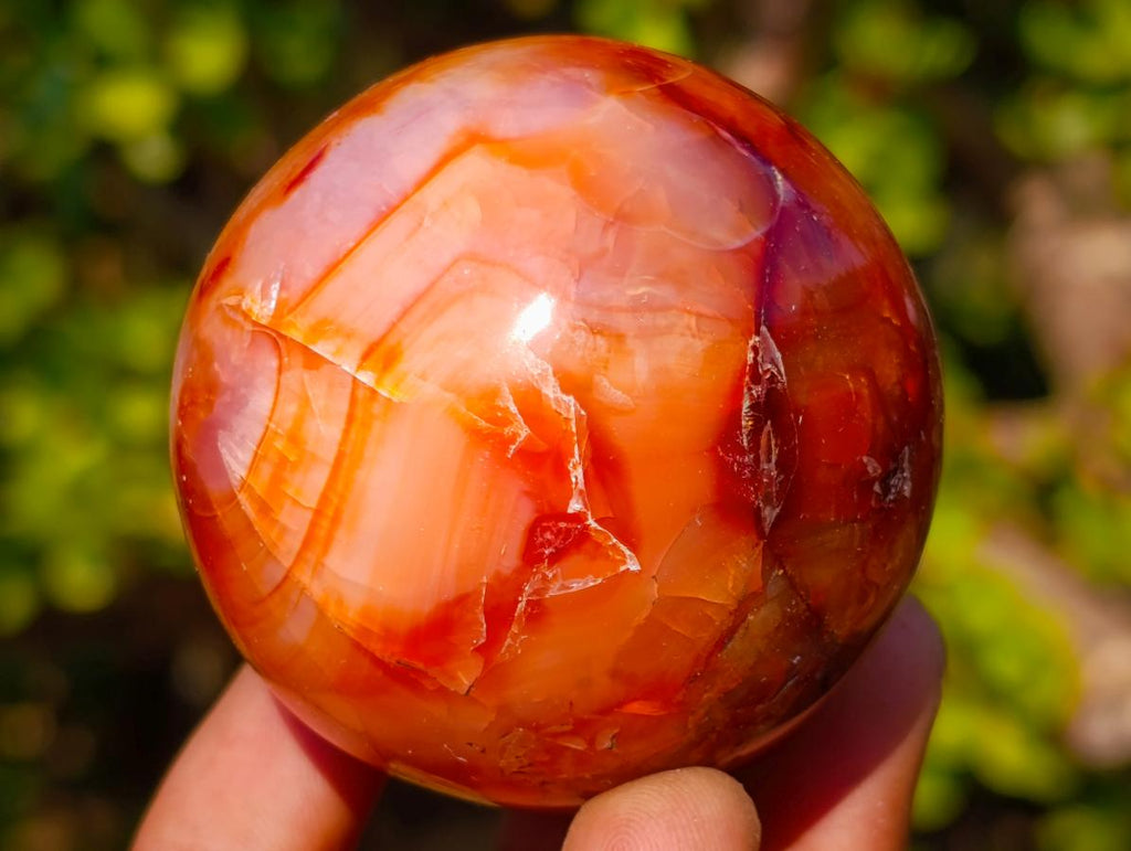 Polished and Natural Carnelian Agate Gemstone Spheres x 6 From Madagascar - Toprock Gemstones and Minerals 