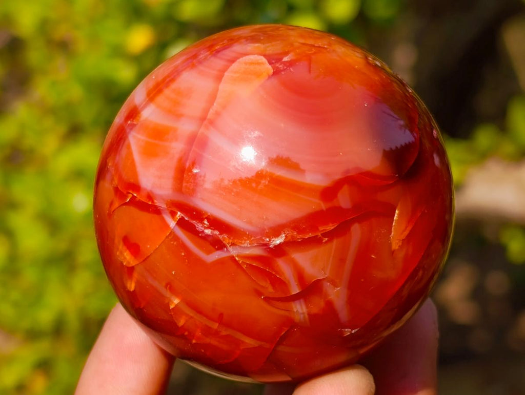 Polished and Natural Carnelian Agate Gemstone Spheres x 6 From Madagascar - Toprock Gemstones and Minerals 