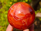 Polished and Natural Carnelian Agate Gemstone Spheres x 6 From Madagascar - Toprock Gemstones and Minerals 