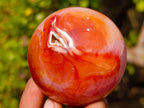 Polished and Natural Carnelian Agate Gemstone Spheres x 6 From Madagascar - Toprock Gemstones and Minerals 