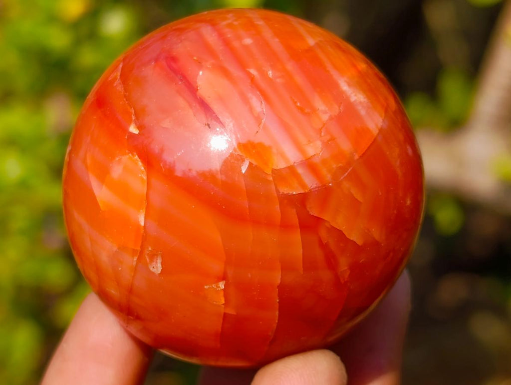 Polished and Natural Carnelian Agate Gemstone Spheres x 6 From Madagascar - Toprock Gemstones and Minerals 