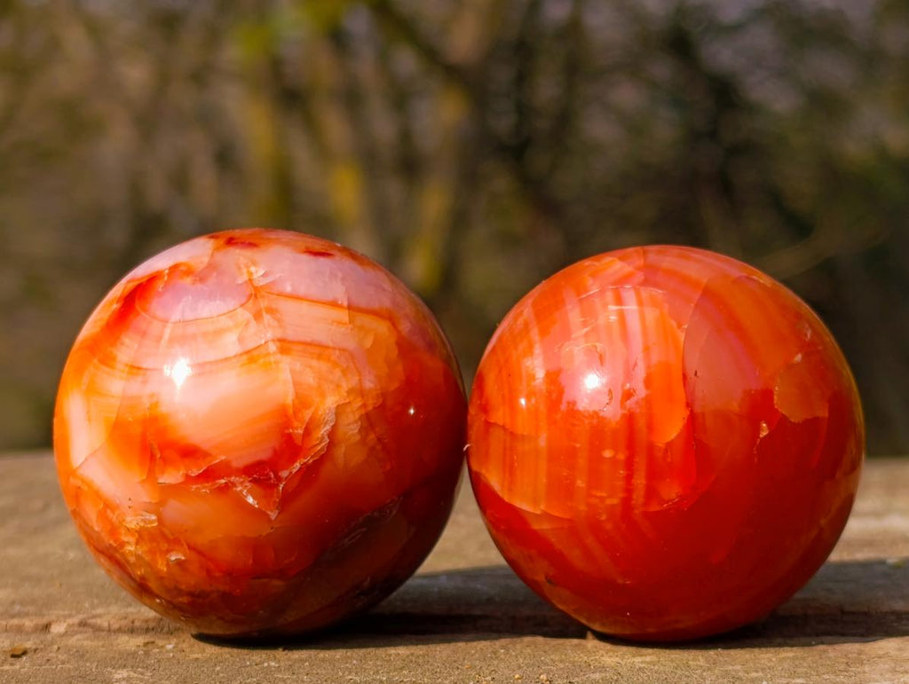 Polished and Natural Carnelian Agate Gemstone Spheres x 6 From Madagascar - Toprock Gemstones and Minerals 