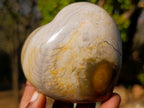 Polished Polychrome Jasper Hearts x 6 From NW Coast, Madagascar - Toprock Gemstones and Minerals 