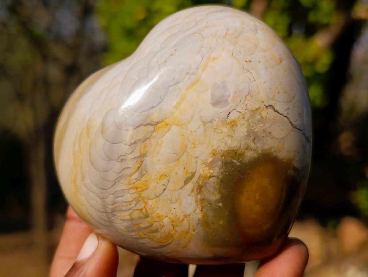 Polished Polychrome Jasper Hearts x 6 From NW Coast, Madagascar - Toprock Gemstones and Minerals 