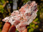 Natural Spherocobaltite Specimens with Heterogenite x 6 From Musonoi Mine, Congo - Toprock Gemstones and Minerals 