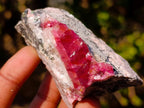 Natural Spherocobaltite Specimens with Heterogenite x 6 From Musonoi Mine, Congo - Toprock Gemstones and Minerals 
