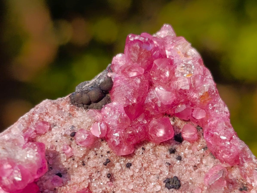 Natural Spherocobaltite Specimens with Heterogenite x 6 From Musonoi Mine, Congo - Toprock Gemstones and Minerals 
