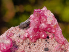 Natural Spherocobaltite Specimens with Heterogenite x 6 From Musonoi Mine, Congo - Toprock Gemstones and Minerals 