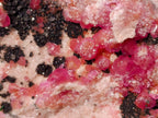 Natural Spherocobaltite Specimens with Heterogenite x 6 From Musonoi Mine, Congo - Toprock Gemstones and Minerals 