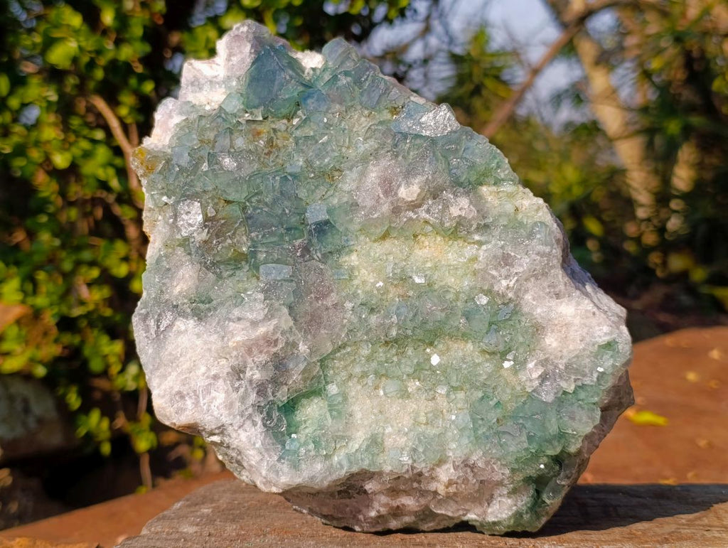 Natural Large Green Cubic Fluorite Specimen x 1 From Mandrosonoro, Madagascar - Toprock Gemstones and Minerals 