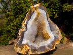 Natural Large Agate Geode with Crystalline Centres x 2 From Maintirano, Madagascar - Toprock Gemstones and Minerals 