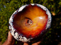 Polished and Natural Carnelian Agate Gemstone Bowls x 4 From Madagascar