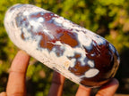 Polished and Natural Carnelian Agate Gemstone Bowls x 4 From Madagascar