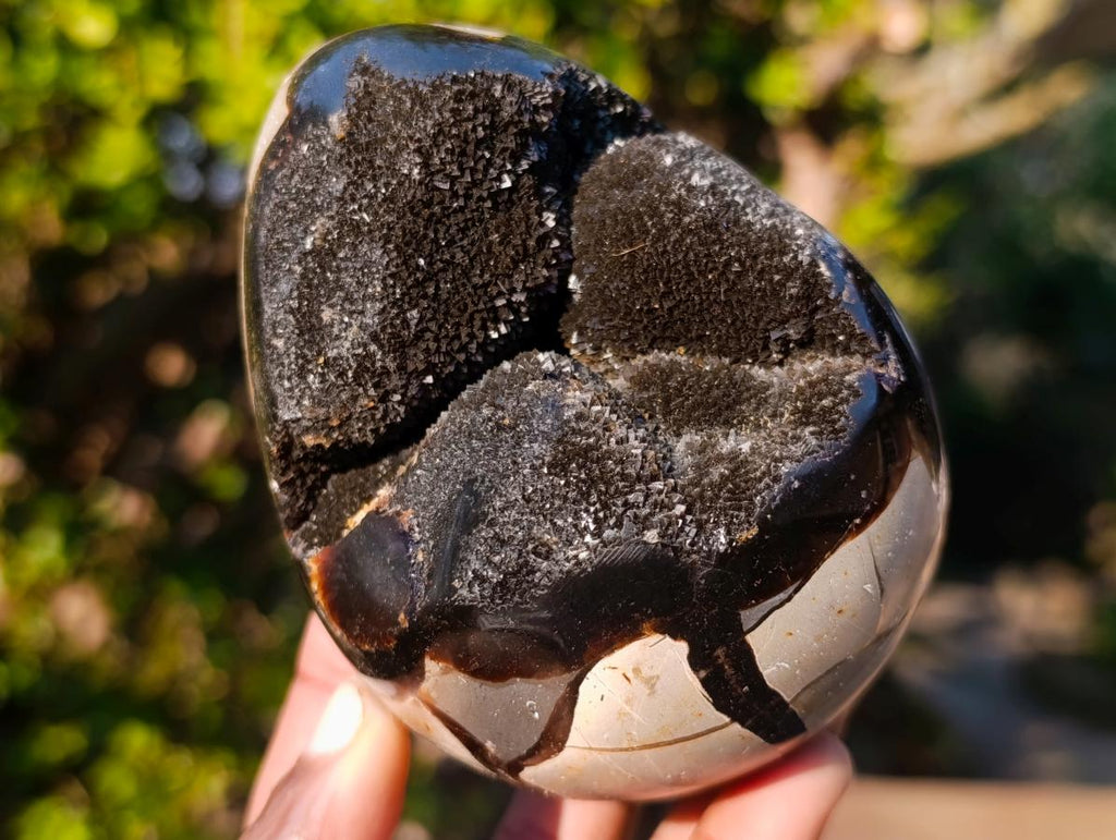 Polished and Natural Small Septerye Sauvage "Dragons Egg" Geodes x 2 From Mahajanga, Madagascar