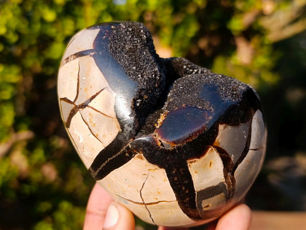 Polished and Natural Small Septerye Sauvage "Dragons Egg" Geodes x 2 From Mahajanga, Madagascar