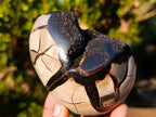 Polished and Natural Small Septerye Sauvage "Dragons Egg" Geodes x 2 From Mahajanga, Madagascar