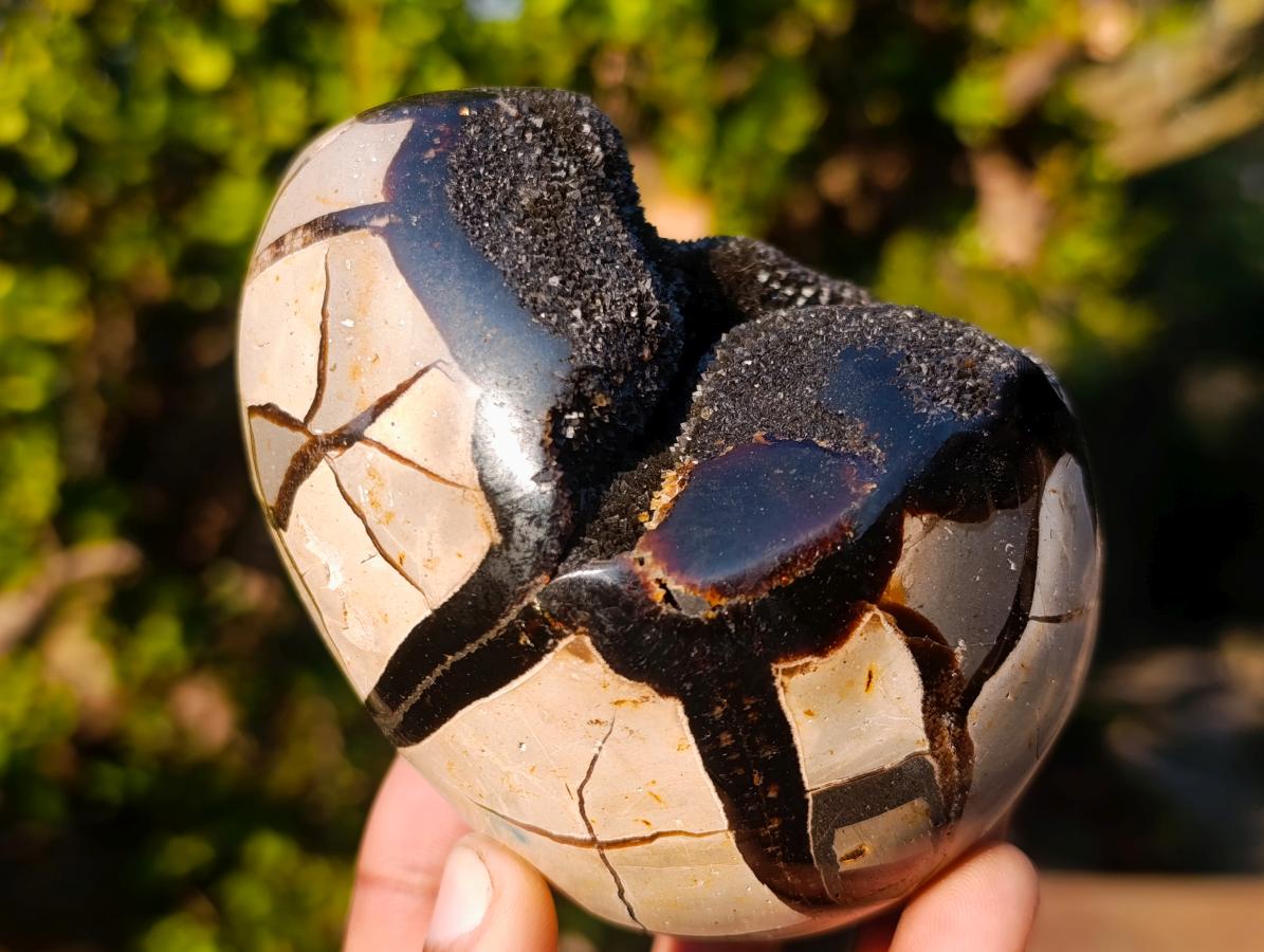 Polished and Natural Small Septerye Sauvage "Dragons Egg" Geodes x 2 From Mahajanga, Madagascar