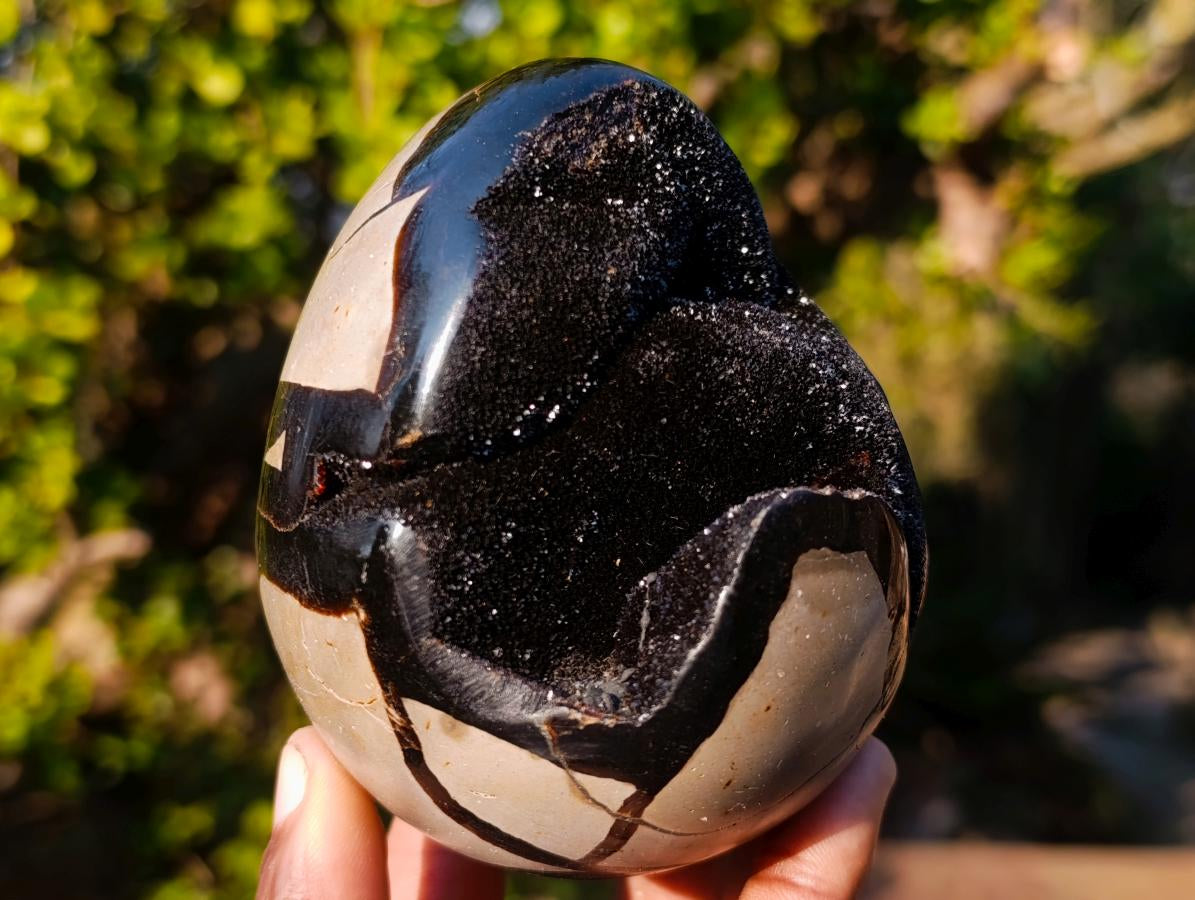 Polished and Natural Small Septerye Sauvage "Dragons Egg" Geodes x 2 From Mahajanga, Madagascar